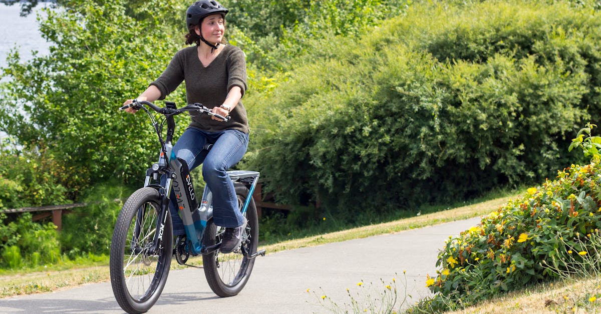 découvrez notre sélection de vélos électriques alliant performance et écologie, pour des déplacements urbains simples et rapides.