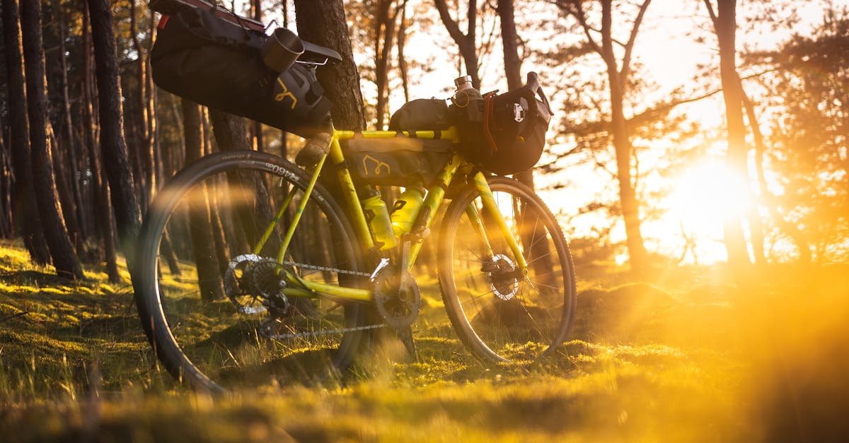 découvrez la popularité croissante du gravel bike, un vélo polyvalent qui séduit les amateurs de routes et de chemins grâce à son confort et sa robustesse.
