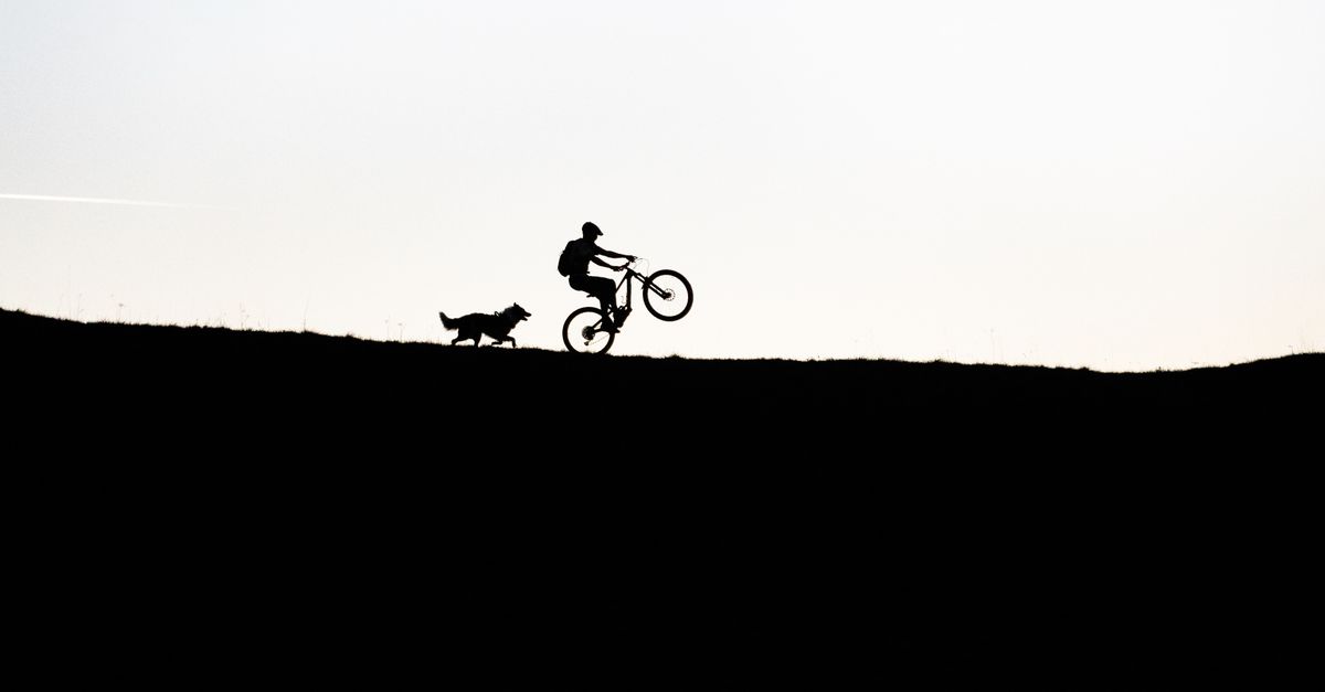 améliorez votre confiance en vtt grâce à des techniques essentielles pour maîtriser les sentiers et progresser en toute sécurité.