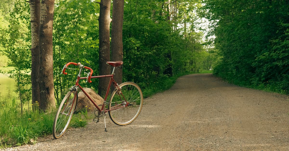 découvrez le gravel biking, une discipline cycliste alliant aventure, endurance et exploration sur des terrains variés. parfait pour les amateurs de sensations fortes et de nature.