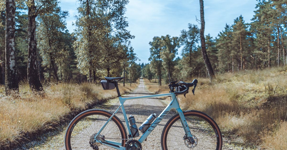 découvrez le gravel biking, une pratique cycliste alliant aventure, liberté et exploration sur des chemins variés entre route et sentiers.