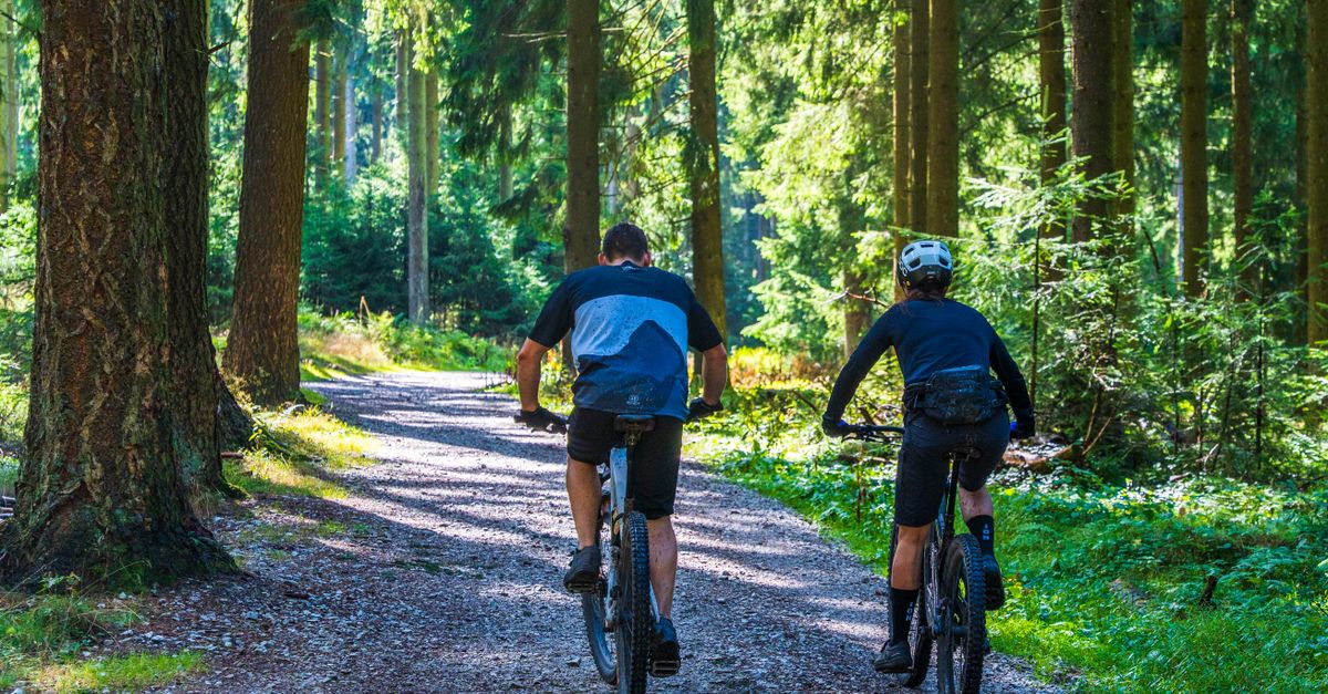 découvrez le gravel biking, une discipline cycliste alliant aventure, nature et polyvalence sur chemins variés. parfait pour les amateurs de sensations et de découverte.