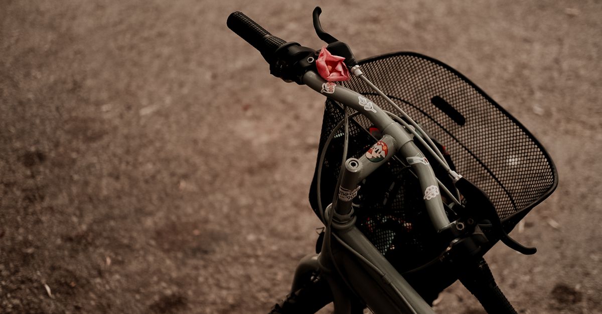 découvrez notre sélection d'accessoires pour vélo urbain, alliant praticité et style pour vos déplacements en ville.